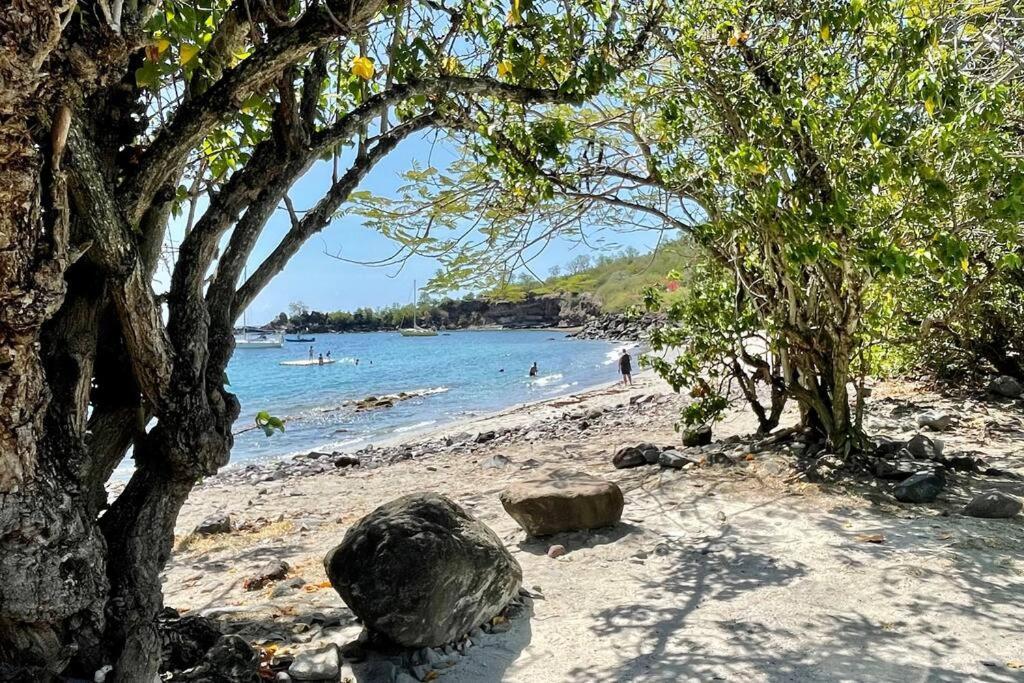 Location Gite Bungalow A 70M De La Plage Bouillante Bagian luar foto