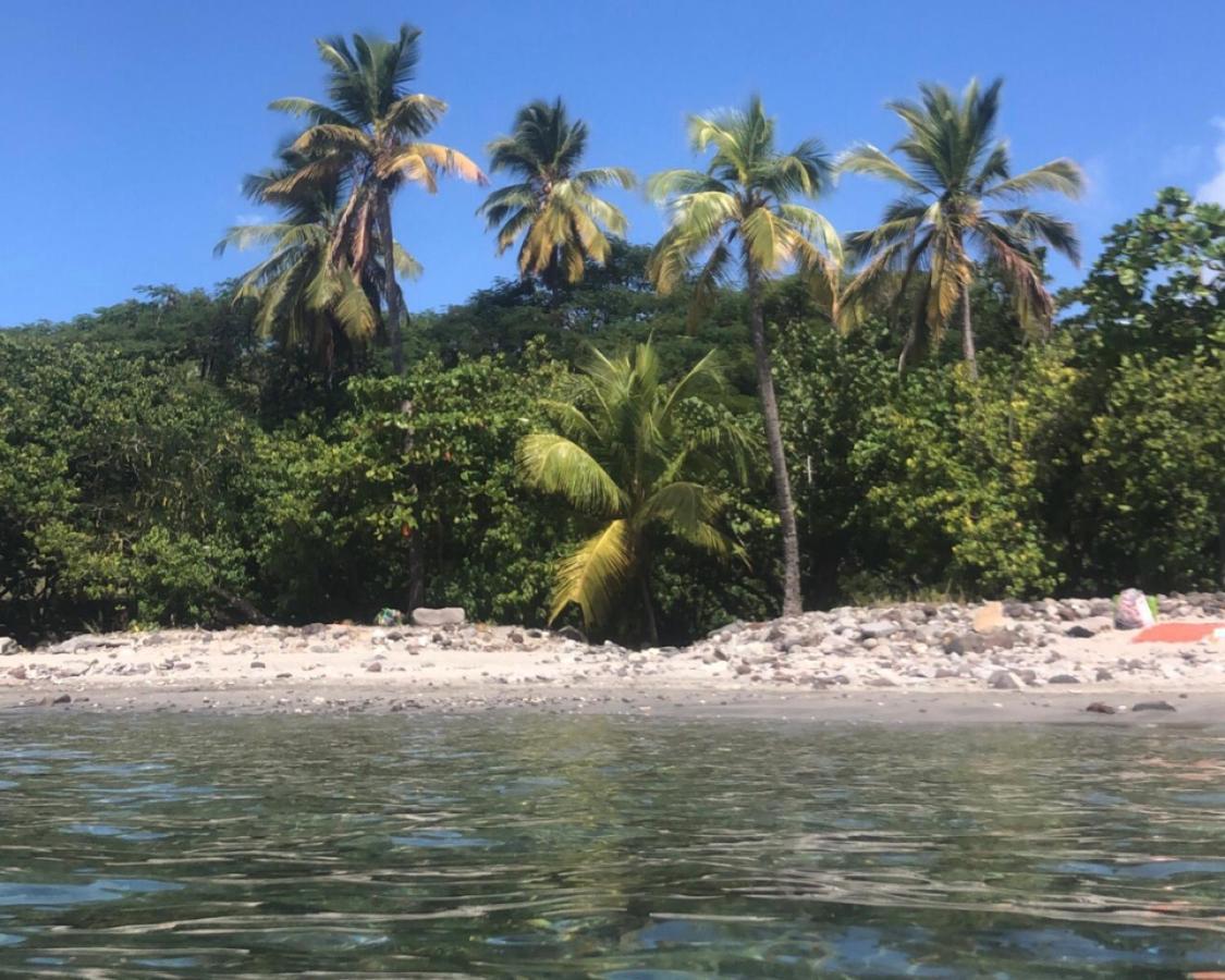 Location Gite Bungalow A 70M De La Plage Bouillante Bagian luar foto