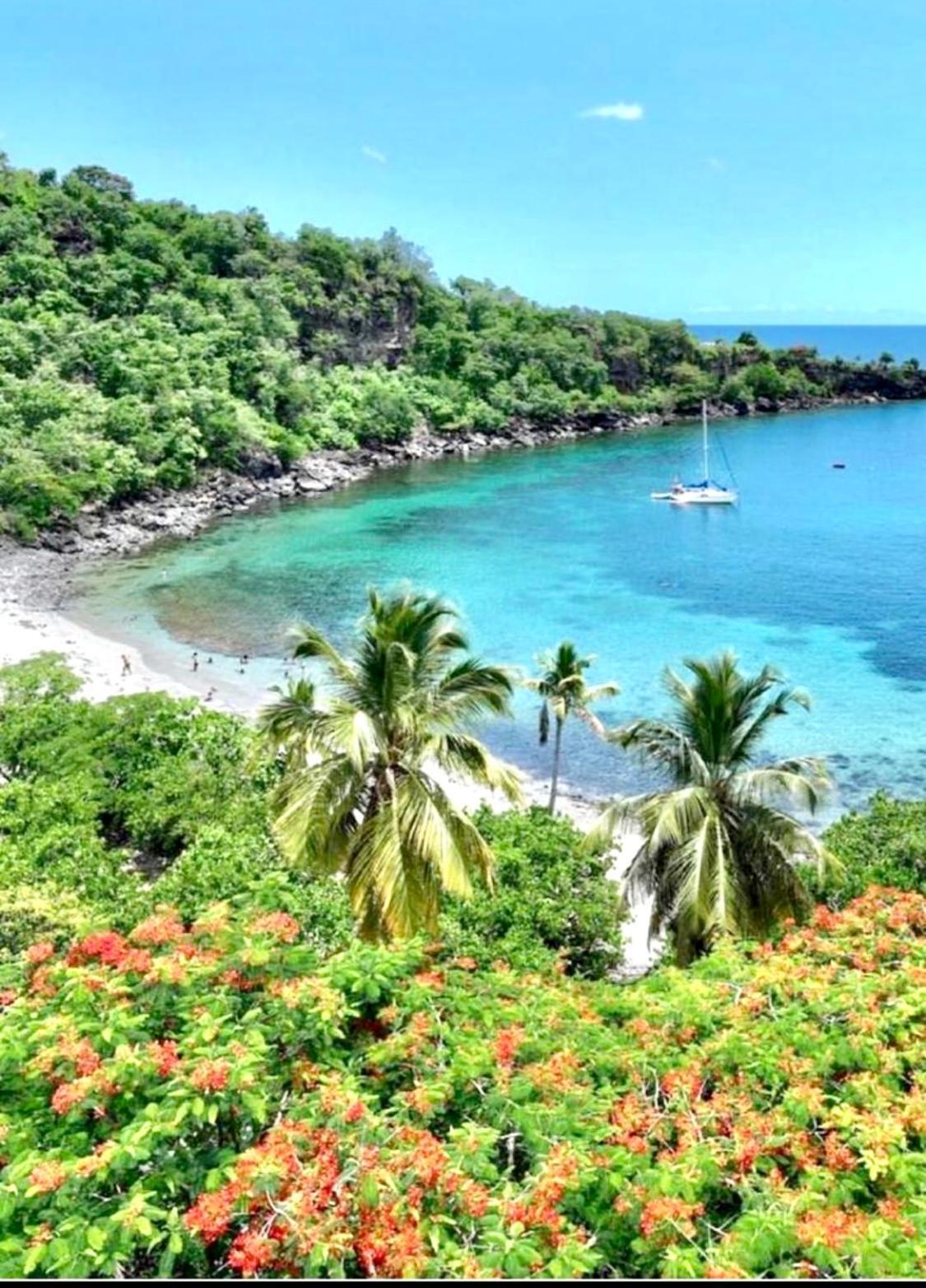 Location Gite Bungalow A 70M De La Plage Bouillante Bagian luar foto